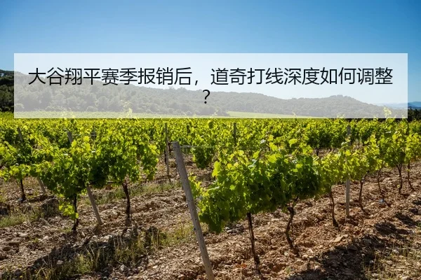大谷翔平赛季报销后，道奇打线深度如何调整？