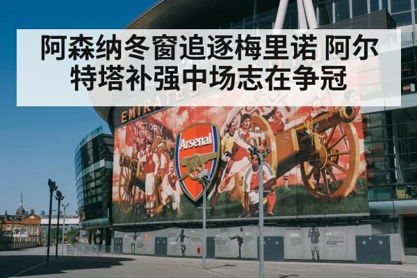 阿森纳冬窗追逐梅里诺 阿尔特塔补强中场志在争冠